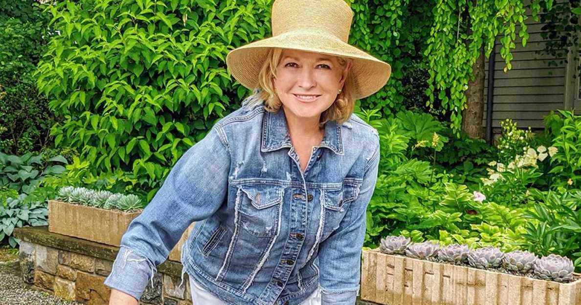 Martha Stewart vend tout son osier
