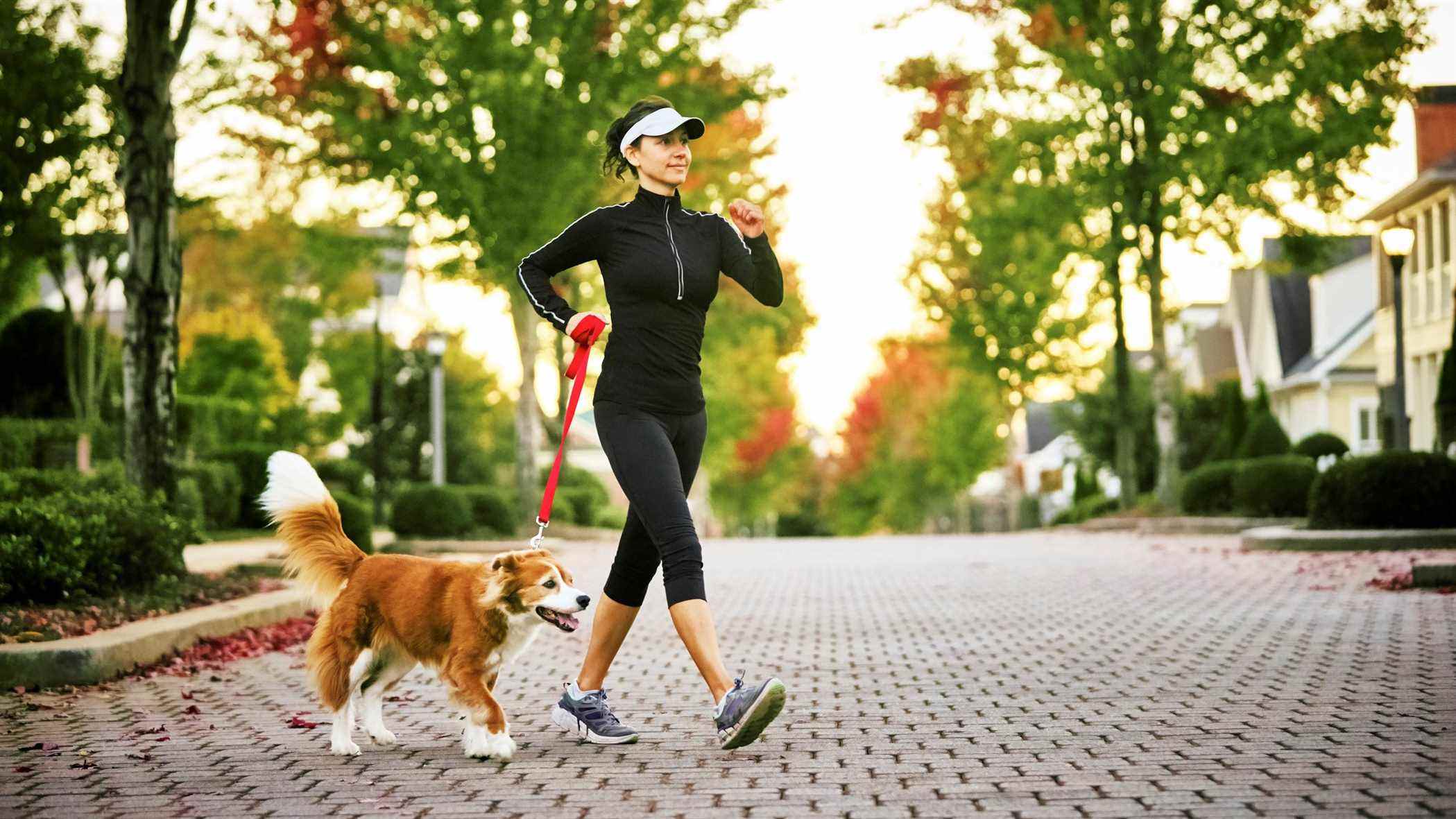 photo d'une femme marchant avec son chien