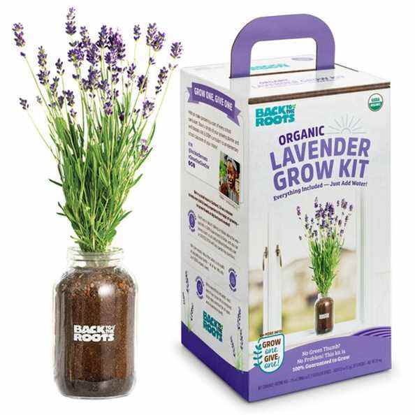 Cadeaux uniques pour la fête des mères Jardinière de rebord de fenêtre