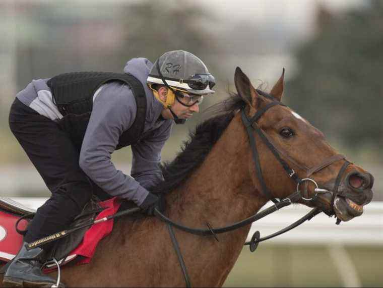 « PRÊT À PARTIR » : la saison de course de Woodbine débute samedi