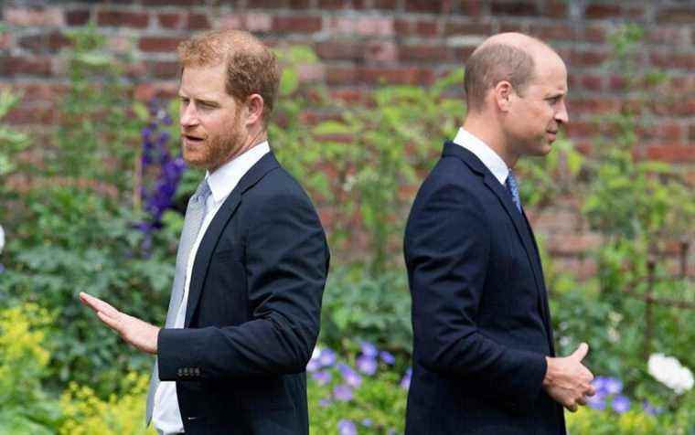 Les princes William et Harry étaient autrefois inséparables, mais il y a maintenant un océan entre eux