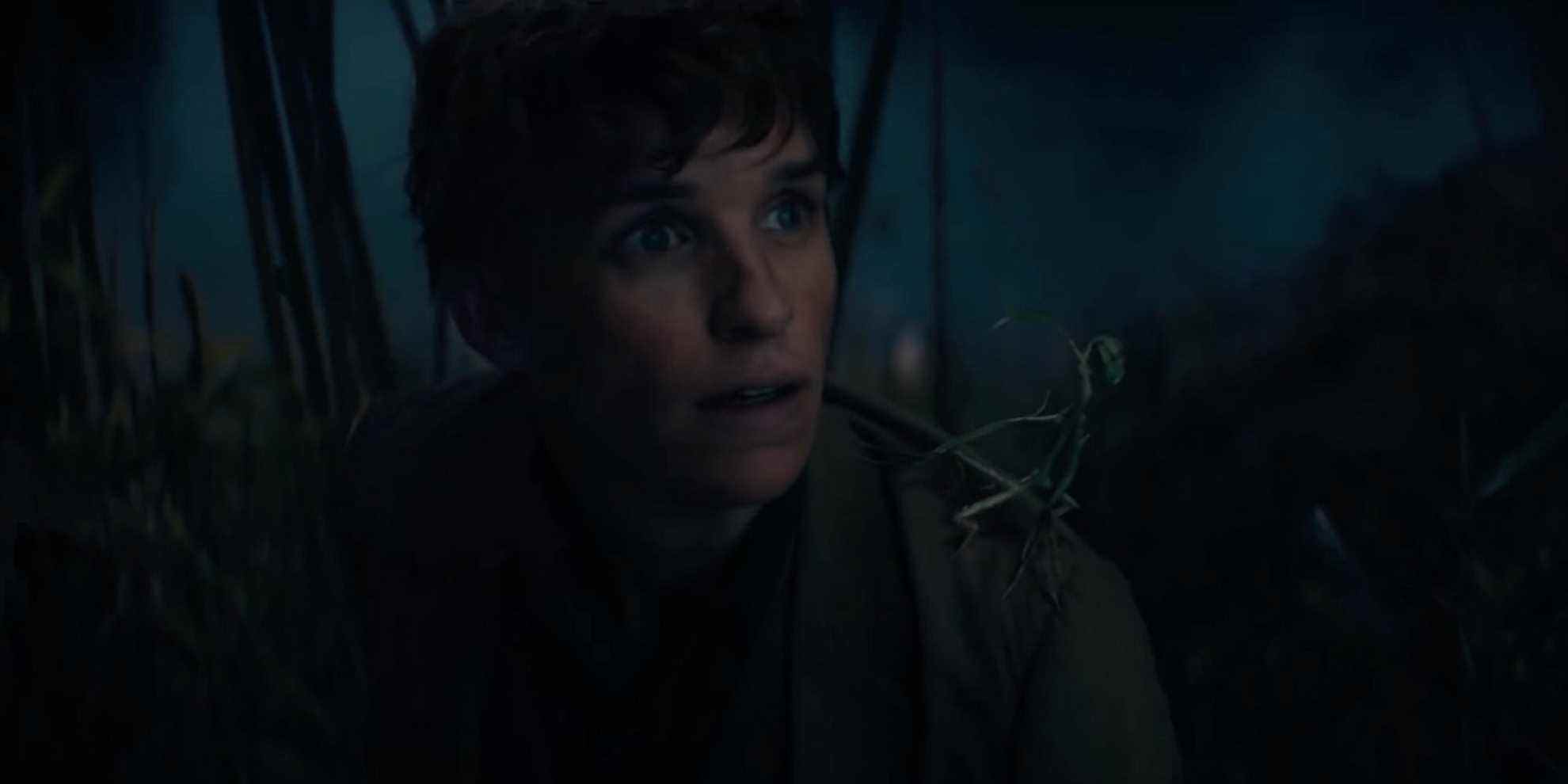 Newt dans Les Animaux Fantastiques Les Secrets de Dumbledore