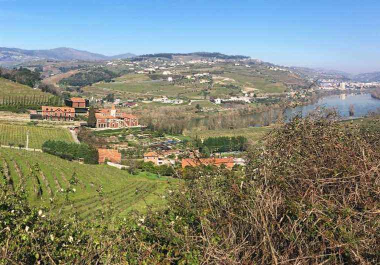 La vallée du Douro au Portugal – l’histoire dans un verre