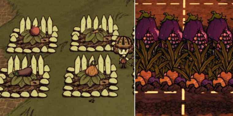 don't starve together how to farm