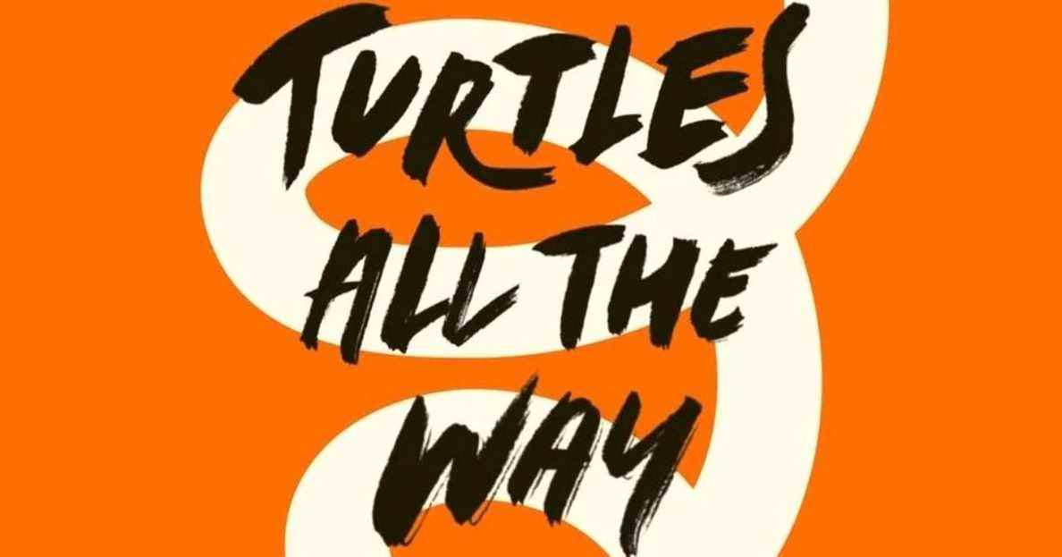 Turtles All the Way Down Book Cover