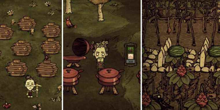 don't starve together bees crockpot farm crops health 