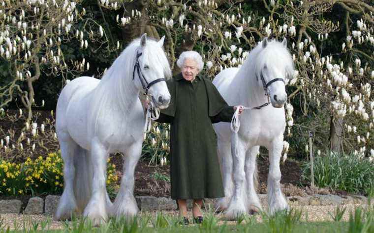 Un nouveau portrait publié pour le 96e anniversaire de Queen la montre la plus heureuse – avec ses poneys