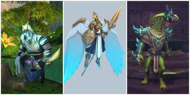 World of Warcraft: Dragonflight - 10 nouvelles races alliées possibles
