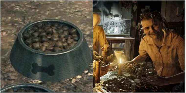 Dog Food from Wolfenstein and Baker Family from RE 7