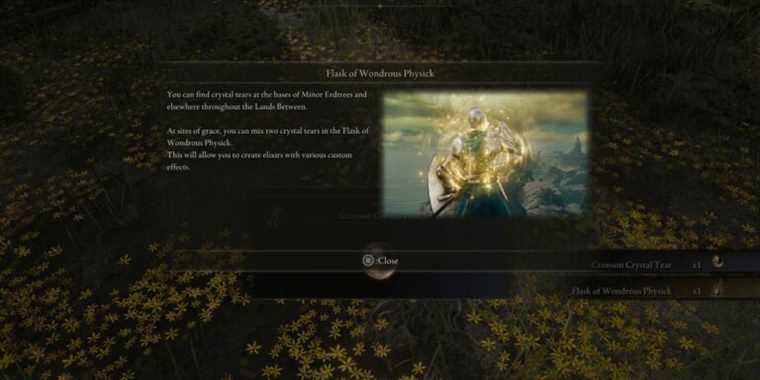 Elden Ring Flask of Wondrous Physick Tutorial Popup Tooltip