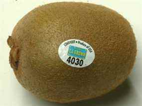 Un autocollant PLU sur un kiwi.  Bien que beaucoup de gens n'aiment pas la texture de la peau, celle-ci est comestible.  L'autocollant, lui aussi, est comestible mais pas particulièrement agréable.