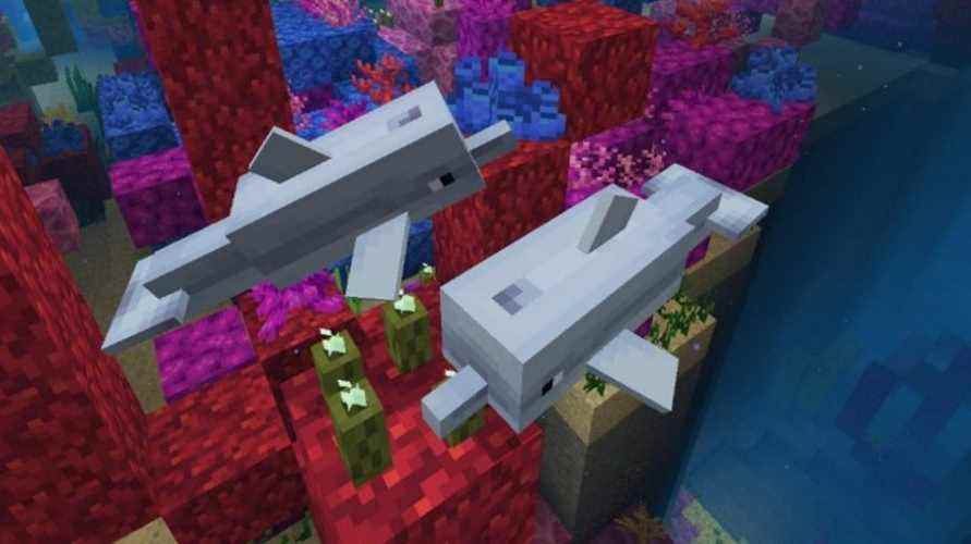 minecraft neutre mobs dauphin