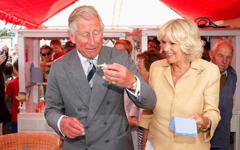 Charles et Camilla - Max Mumby/Indigo/Getty Images 