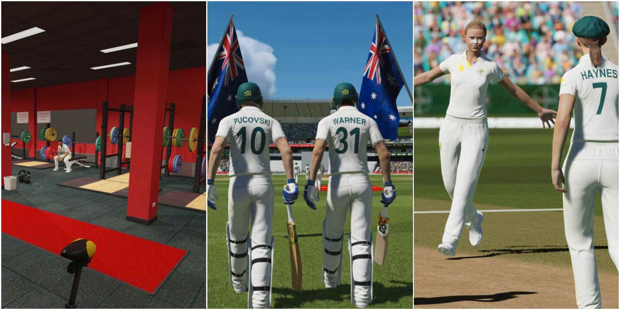 Cricket 22 - A joined image of 3 screenshots