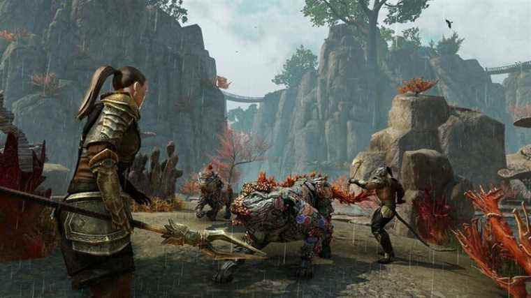 Aperçu de The Elder Scrolls Online: High Isle – Politique, mystère et tour de cartes