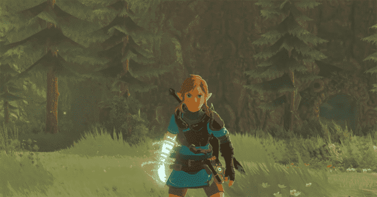 Breath of the Wild mod Second Wind est un projet de fan ambitieux et massif
