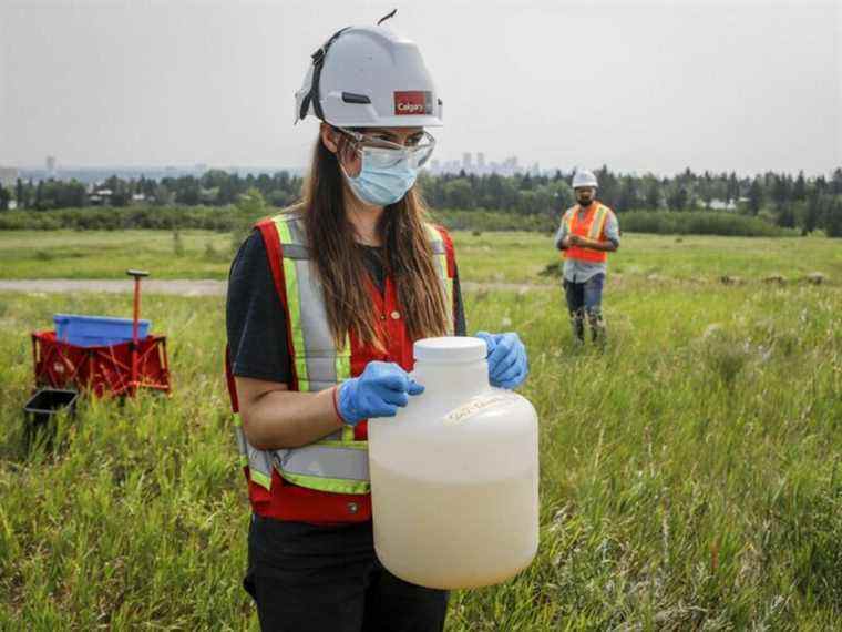 COVID dans les eaux (usées) : comment tester les eaux usées pour les variantes de coronavirus peut « sauver des vies »