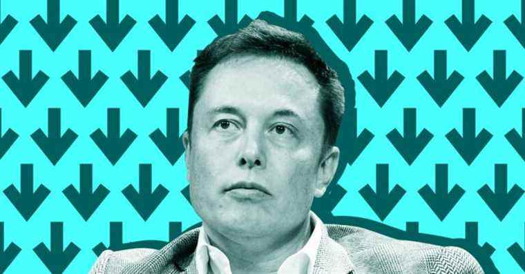 Ce que promet la « liberté d’expression » d’Elon Musk sur Twitter