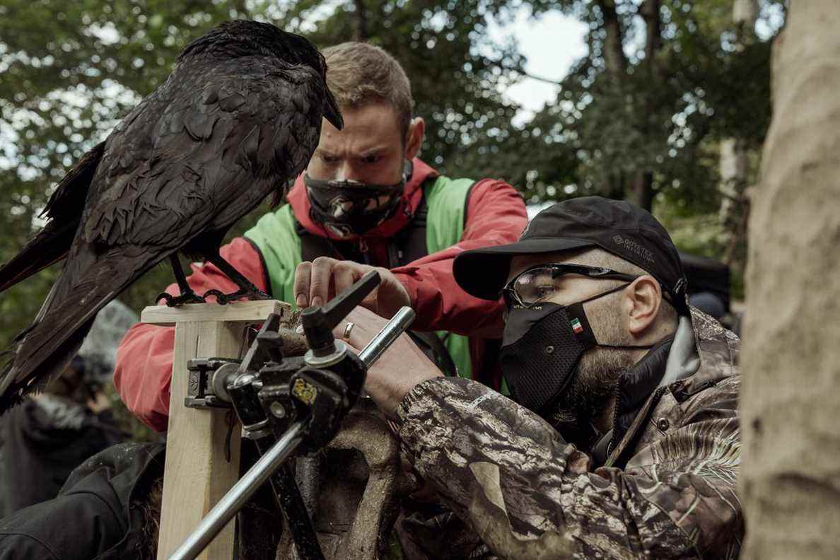 Robert Eggers, de près sur le plateau avec une caméra dirigée vers un corbeau vivant