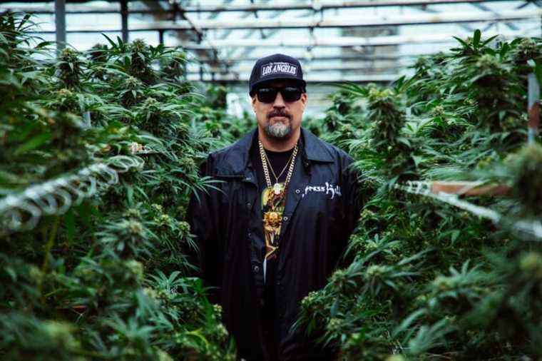  Critique de « Cypress Hill : Insane in the Brain » : le documentaire d'Estevan Oriol est une ode divertissante aux innovateurs du hip-hop de LA Critique de « Cypress Hill : Insane in the Brain » : le documentaire d'Estevan Oriol est une ode divertissante aux innovateurs du hip-hop de LA Critique en ligne, 22 février 2022. Durée : 90 MIN.  Les plus populaires doivent être lus Inscrivez-vous aux bulletins d'information sur les variétés Plus de nos marques
	
	
