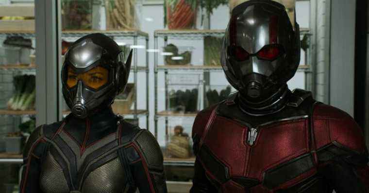 Disney échange les dates de sortie de The Marvels et du prochain film Ant-Man
