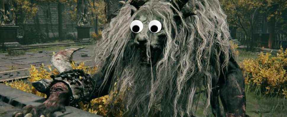 elden ring lion guardian googly eyes