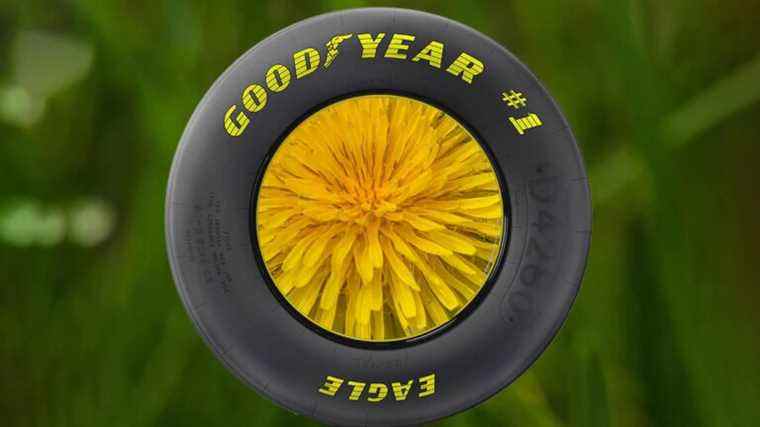 Flower Power : Goodyear obtient un financement militaire pour la recherche sur les pneus en caoutchouc Dandelion