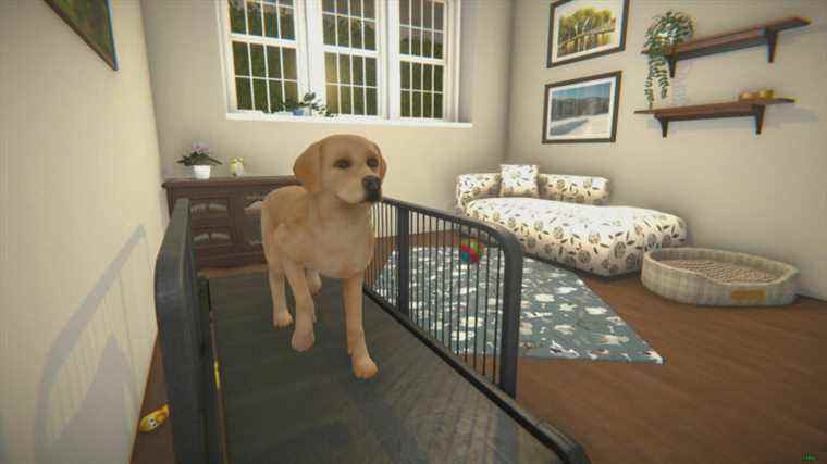 House Flipper obtient un DLC pour animaux de compagnie pour une raison quelconque et il a l'air adorable

