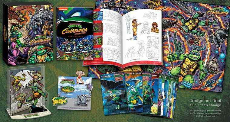 La collection Cowabunga en précommande chez Best Buy – The Outerhaven