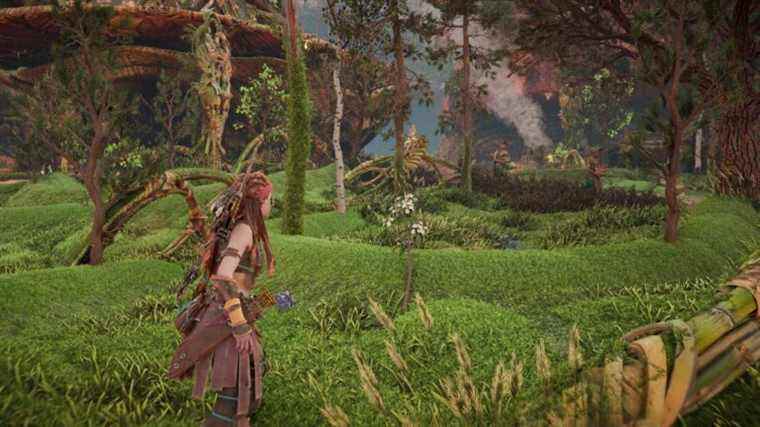 Ce décor d’Horizon Forbidden West transforme Aloy en un fourrageur expert