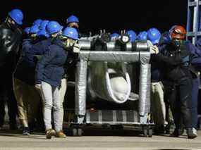 Un béluga est roulé vers son nouvel habitat dans un chariot de transport après son arrivée à Mystic Aquarium, le vendredi 14 mai 2021 à Mystic, Conn. La baleine était parmi les cinq importées à Mystic Aquarium depuis Marineland.