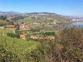 Six Senses Vallée du Douro, à Lamego, Portugal.