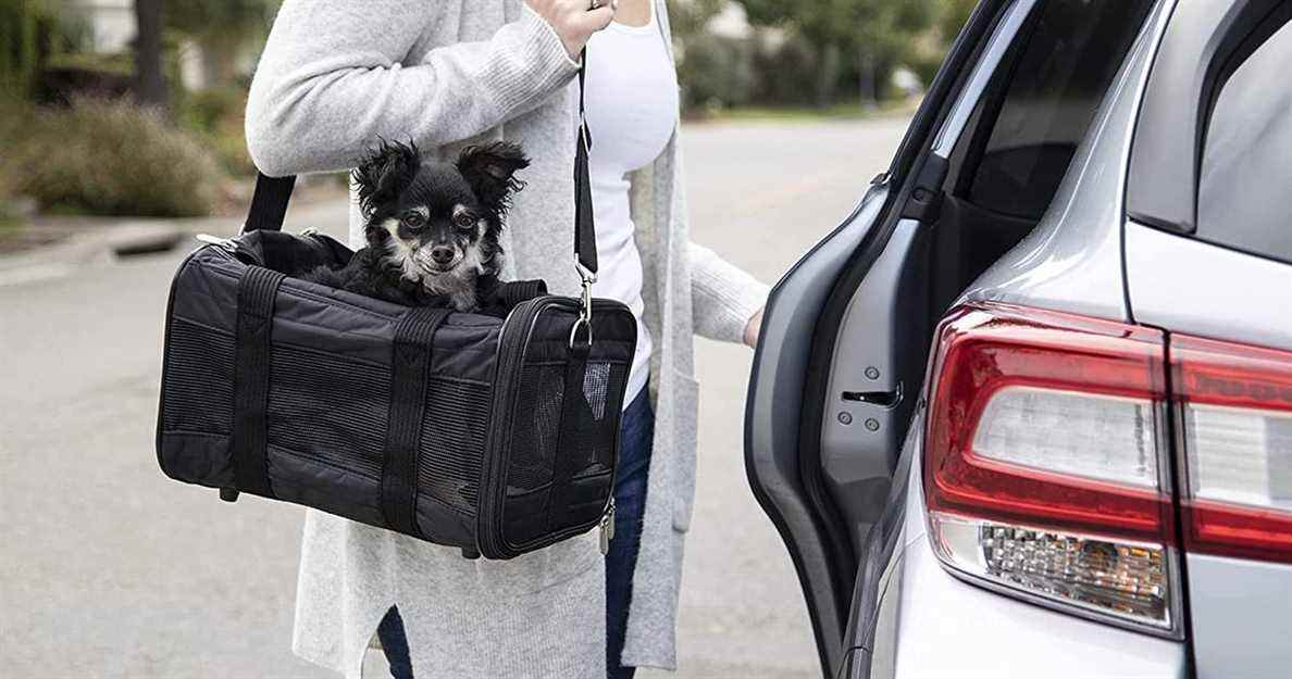 Les meilleurs transporteurs pour chiens
