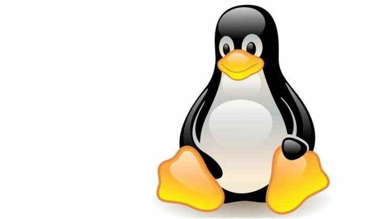 Les systèmes de sécurité Linux ont une faille de sécurité plutôt dommageable