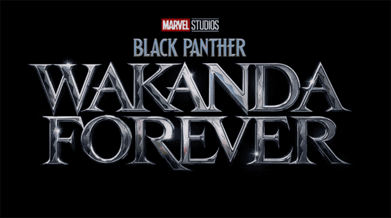 Link Tank : Disney confirme la date de sortie de Black Panther : Wakanda Forever
