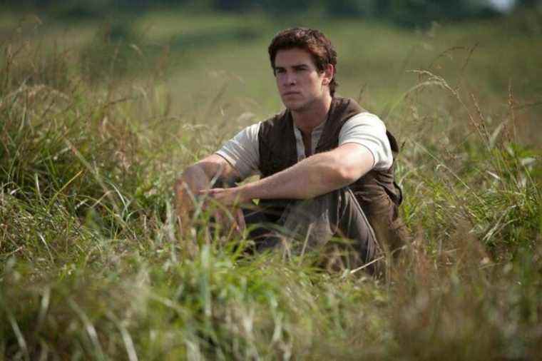 the-hunger-games-liam-hemsworth