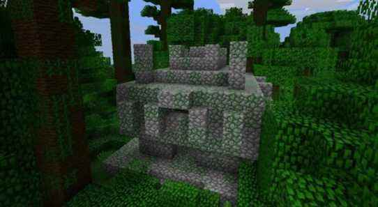 Close up of a Minecraft Jungle temple