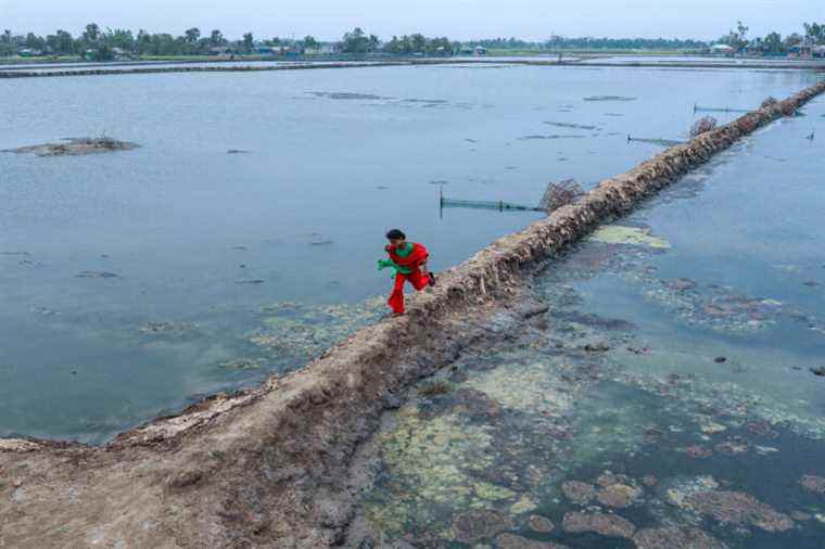 Nous avons trois ans pour réduire les émissions afin d’éviter une catastrophe climatique, selon un rapport de l’ONU