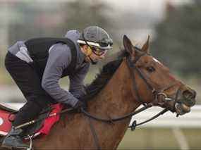 Le jockey Rafael Hernandez se prépare pour la prochaine saison de course Woodbine.