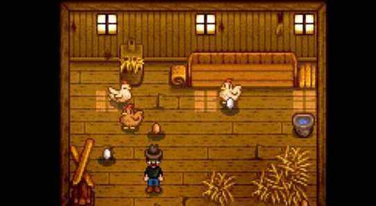 stardew valley chicken coop