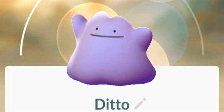 pokemon go ditto profile feature