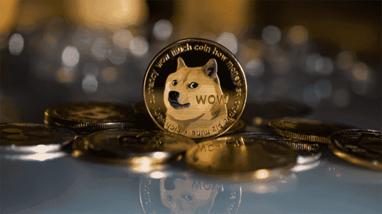 Qu’est-ce que Dogecoin ?