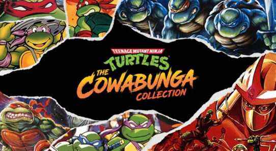 teenage-mutant-ninja-turtles-cowabunga-collection-tmnt