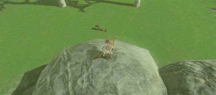 Breath of the Wild squirrels