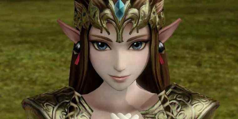 legend of zelda twilight princess zelda face feature