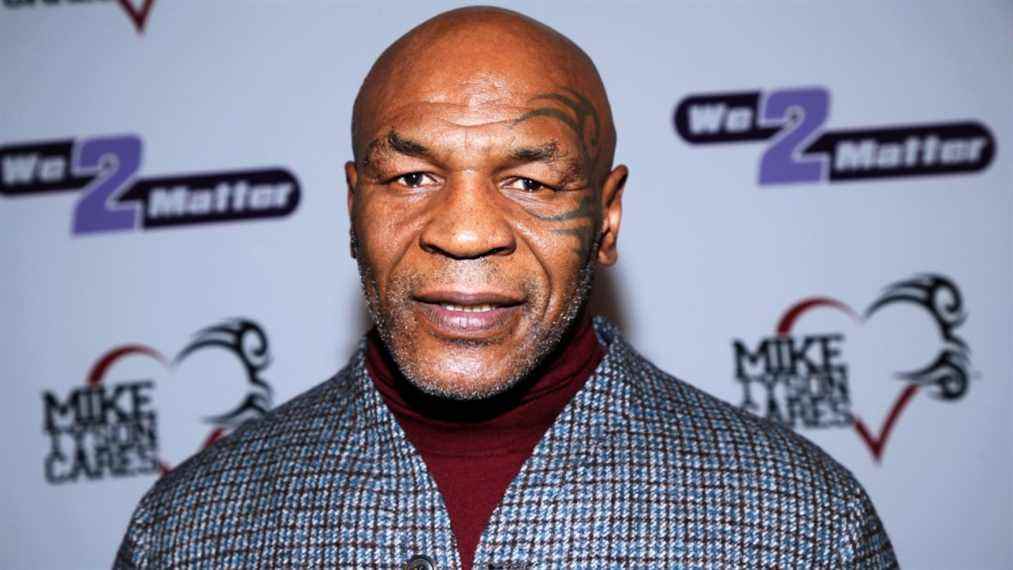 Une vidéo montre Mike Tyson frappant un passager d'une compagnie aérienne
