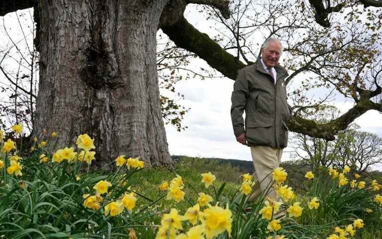 Le prince Charles plaide pour la protection des arbres et des bois dédiés à la reine pour le jubilé de platine