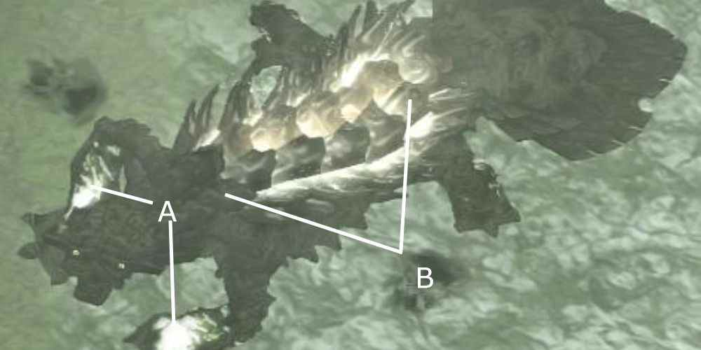 Shadow of the Colossus Emplacements des sceaux du huitième boss