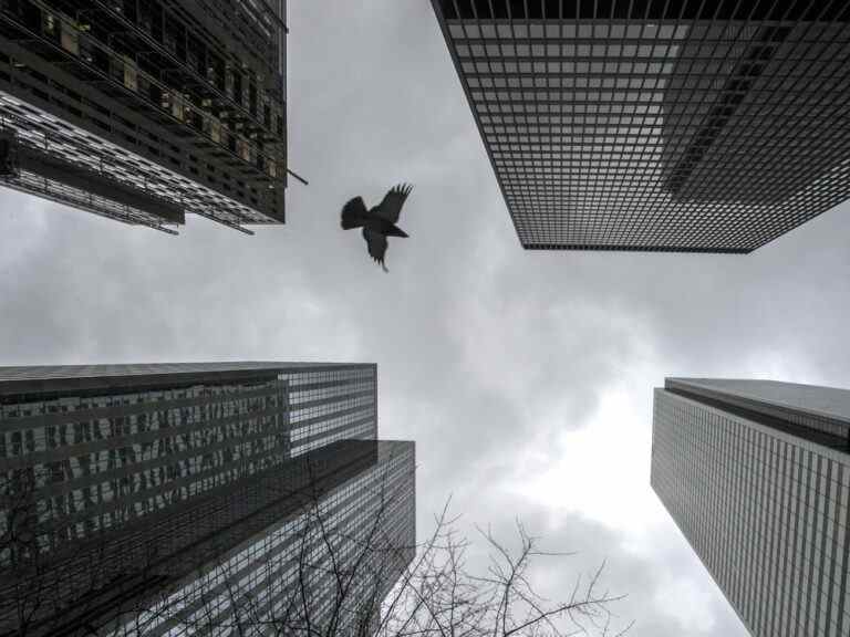 Le système financier peut « absorber » le choc des taux d’intérêt plus élevés, selon l’organisme de réglementation bancaire du Canada