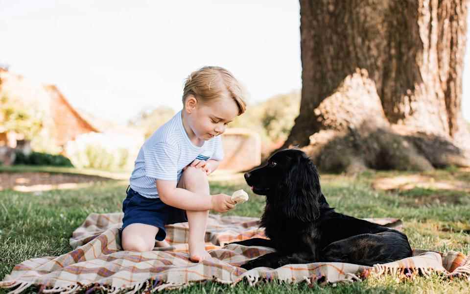 Prince George - Matt Porteous / PA